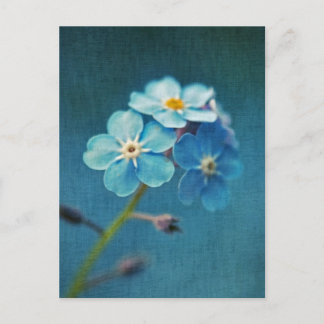 Elegant Blue Flowers Forget me not Postcard