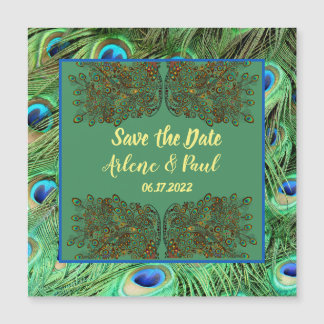 Elegant Blue Green Peacock Feather Card
