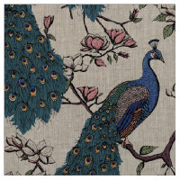 Elegant Blue Peacocks on Magnolia Tree Branches