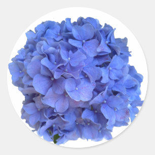 Elegant Blue periwinkle floral hydrangeas  Classic Round Sticker