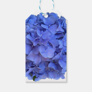 Elegant Blue periwinkle floral hydrangeas  Gift Tags