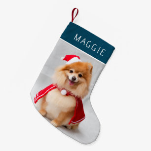 Elegant Blue Pet Dog Photo Custom Name Small Christmas Stocking