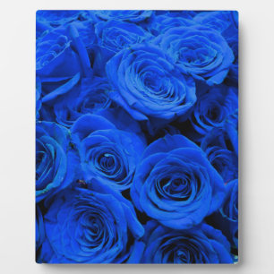 Elegant blue roses blue flowers blue floral plaque