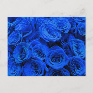 Elegant blue roses blue flowers blue floral postcard