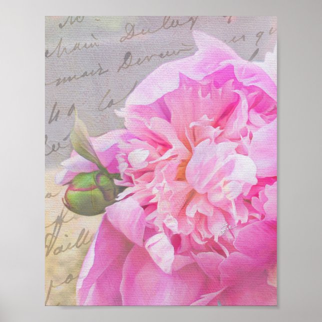 Elegant Blush Pink Peony Floral w/ Textures Script Poster (Front)