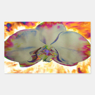 Elegant boho abstract watercolor orchid painting rectangular sticker