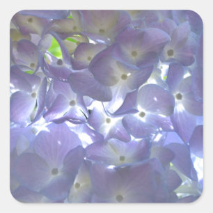 Elegant boho dusty light purple florals flowers  square sticker