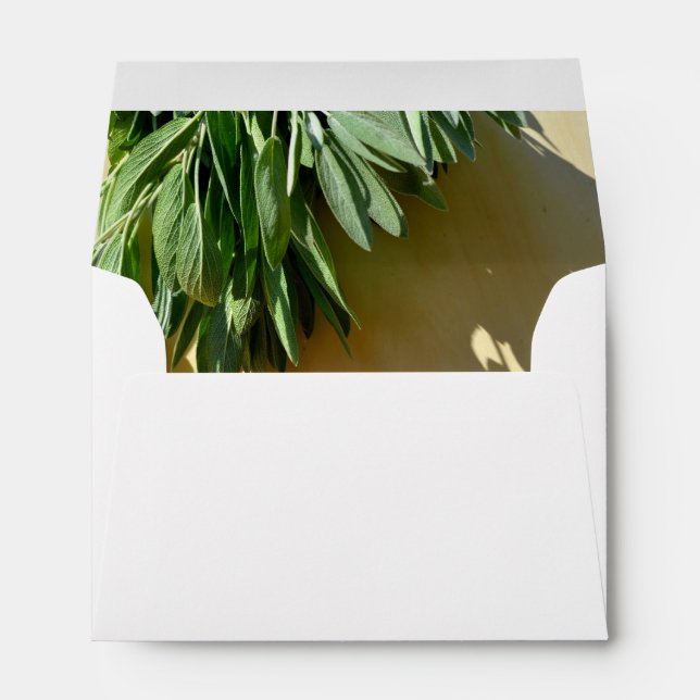 Elegant botanical green herbs leaves sage envelope (Back (Bottom))