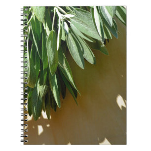 Elegant botanical green herbs leaves sage notebook