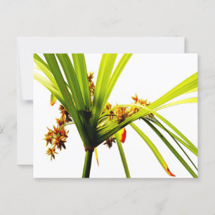 Elegant Botanical Pattern Postcard