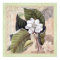 Elegant Botanical Southern Style Poster Magnolia