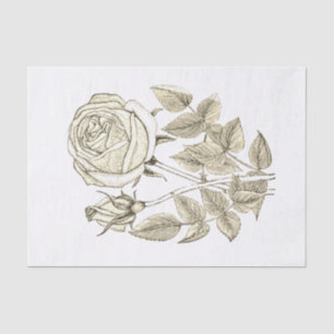 Elegant Botanical Vintage Beige White Rose  Tissue Paper