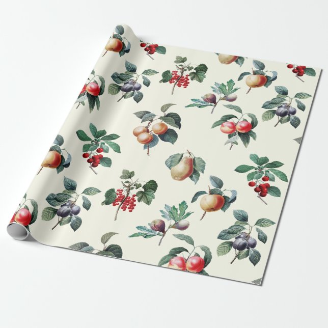 Elegant Botanical Vintage Fruit on White Wrapping Paper (Unrolled)