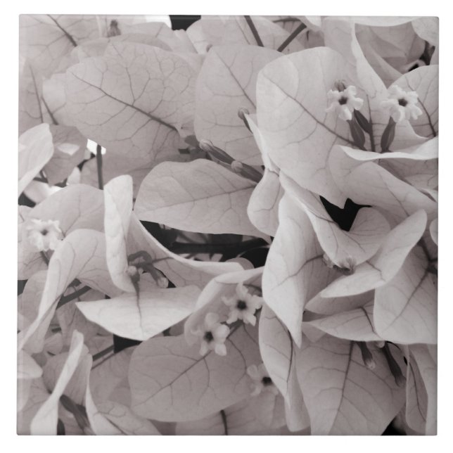 Elegant bougainvillea vintage style floral pattern tile (Front)