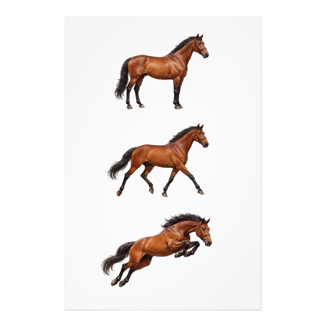 Elegant Brown Horse Wall Art Poster (Front)