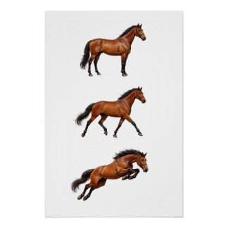 Elegant Brown Horse Wall Art Poster