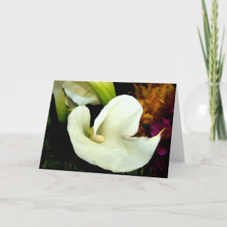 Elegant Calla Lily Card