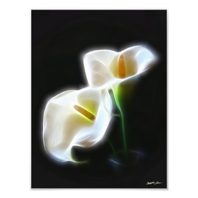 Elegant Calla Lily Flowers 13 Modern Print (Front)
