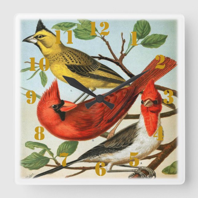 Elegant Cardinal Birds Square Wall Clock (Front)