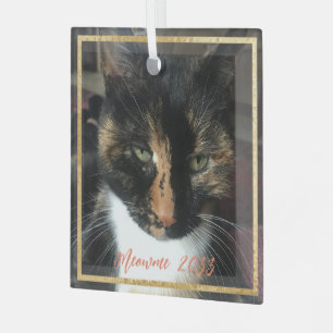 Elegant Cat Photo Custom Gold Trim Glass Ornament