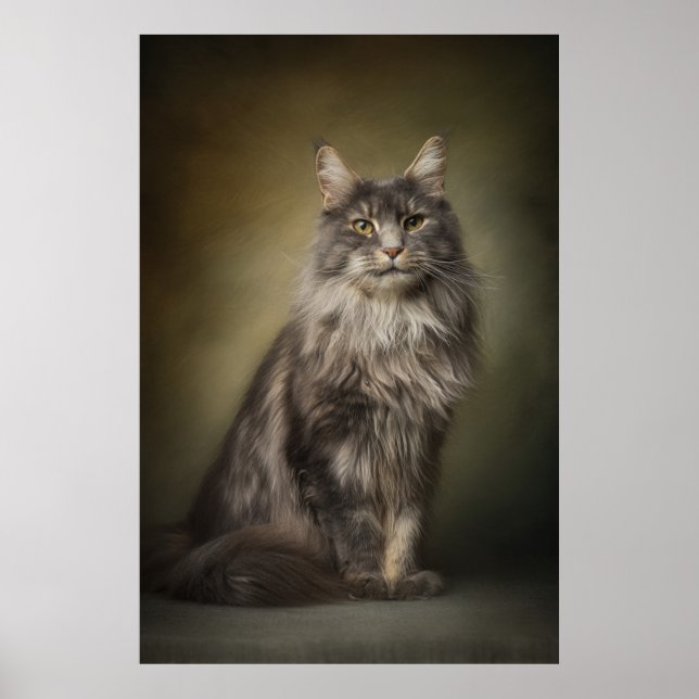 Elegant Cat Studio Portrait Poster (Front)