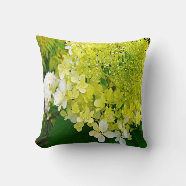 Elegant Chartreuse Green Limelight Hydrangea Cushion (Front)