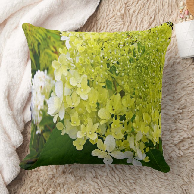 Elegant Chartreuse Green Limelight Hydrangea Cushion (Blanket)
