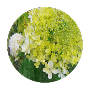 Elegant Chartreuse Green Limelight Hydrangea Cutting Board
