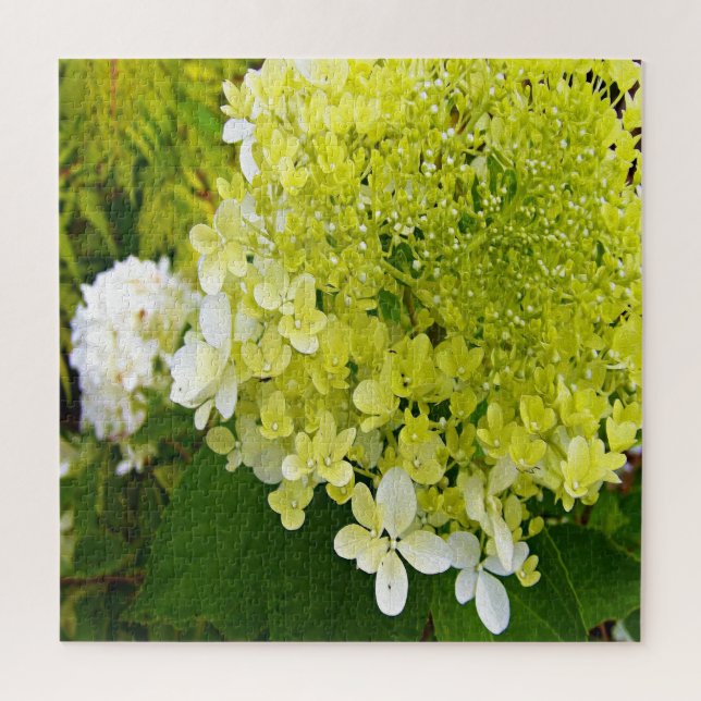Elegant Chartreuse Green Limelight Hydrangea Jigsaw Puzzle (Vertical)