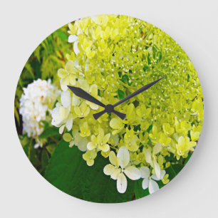 Elegant Chartreuse Green Limelight Hydrangea Large Clock