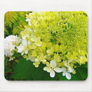 Elegant Chartreuse Green Limelight Hydrangea Mouse Pad