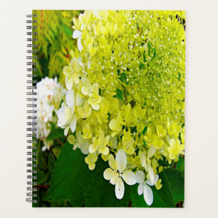 Elegant Chartreuse Green Limelight Hydrangea Planner