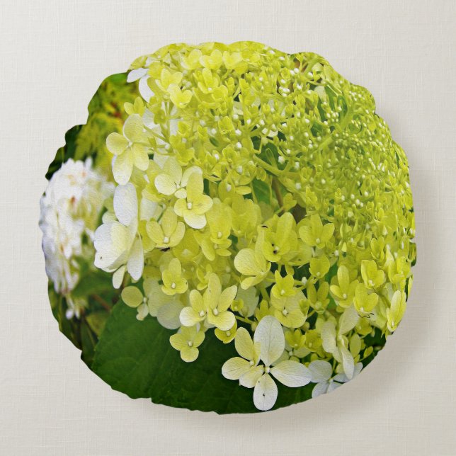 Elegant Chartreuse Green Limelight Hydrangea Round Cushion (Front)
