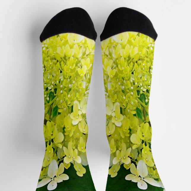 Elegant Chartreuse Green Limelight Hydrangea Socks (Top)