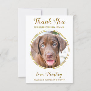 Elegant Chic Gold Custom Dog Photo Pet Wedding Thank You Card