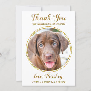 Elegant Chic Gold Custom Pet Photo Dog Wedding Thank You Card