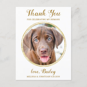 Elegant Chic Gold Pet Dog Wedding Thank You Postcard