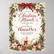 Elegant Christmas Baby Shower Sign Poster