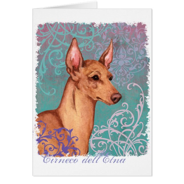 Elegant Cirneco dell'Etna Card (Front)