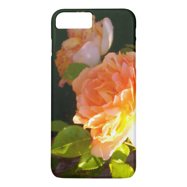 Elegant classic orange peach roses floral Case-Mate iPhone case (Back)