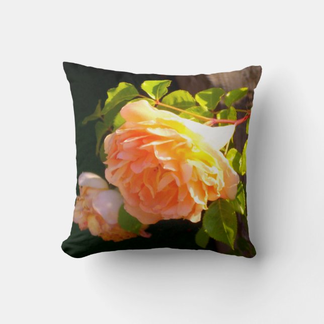 Elegant classic orange peach roses floral cushion (Front)