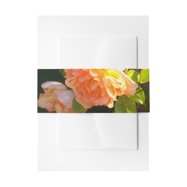 Elegant classic orange peach roses floral invitation belly band (Front Example)