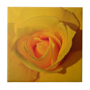 Elegant classic yellow orange rose tile