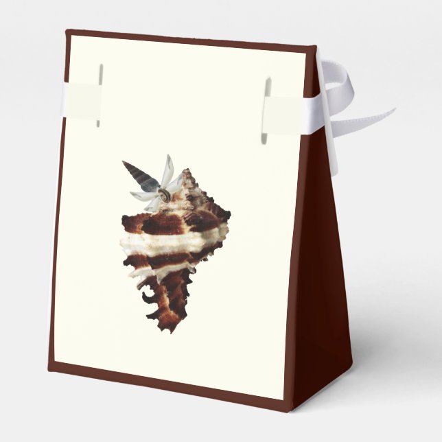Elegant Coastal Seashell Butterfly Favour Box (Back Side)