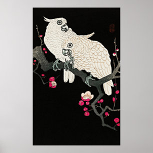 Elegant Cockatoos & Plum Blossom - Japanese Art Poster