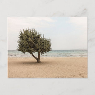 Elegant Colourful Tree Travel Postcard
