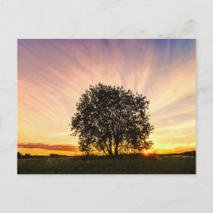 Elegant Colourful Tree Travel Postcard