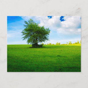 Elegant Colourful Tree Travel Postcard