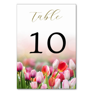 Elegant Colourful Tulip Florals Wedding  Table Number