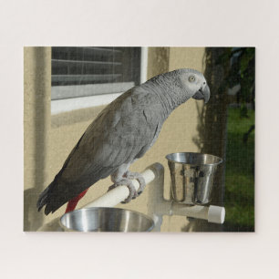 Elegant Congo African Grey Parrot on Stand Jigsaw Puzzle